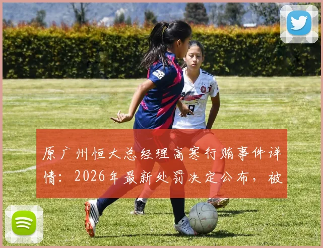 原广州恒大总经理高寒行贿事件详情:2026年最新处罚决定公布,被禁足五年背后原因解读